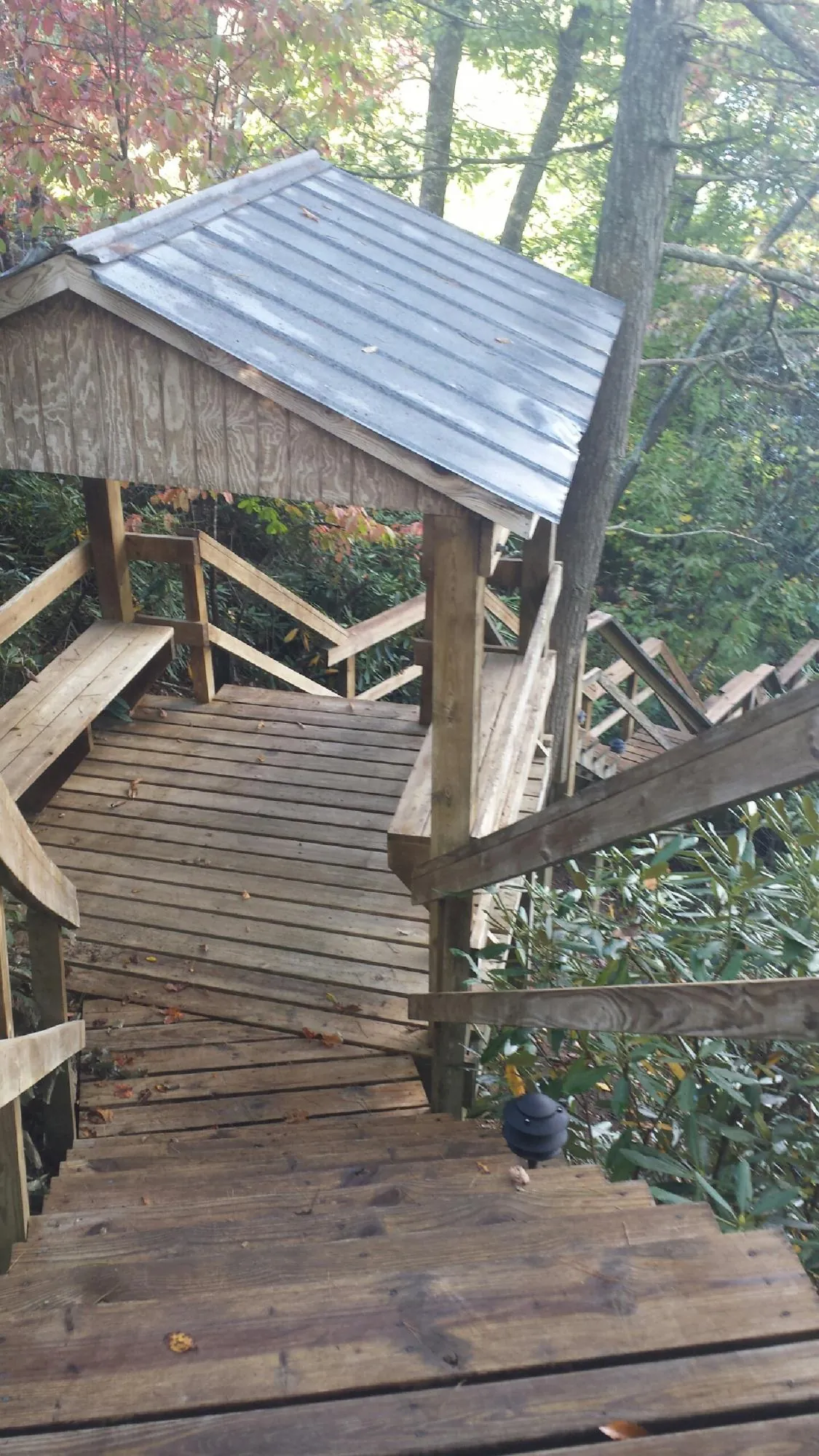 Metal roofed shelter over wooden steps on a wooded walkway — Skylight Repair & Installation work by our crew in Winnabow