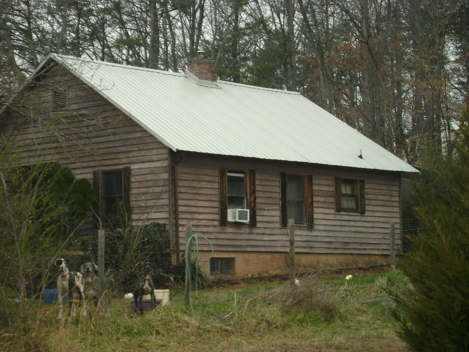 White metal roof on an old wood sided farmhouse, from a Asphalt Shingle Roof Repair job in Winnabow